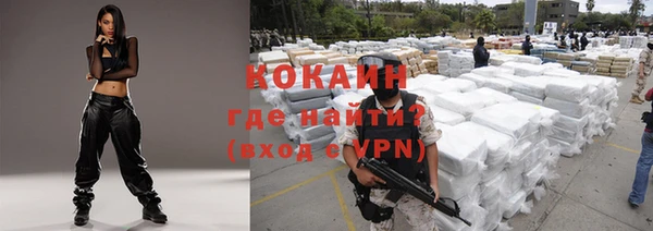 шишки Беломорск