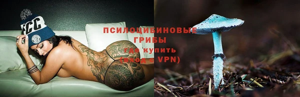 сатива Белокуриха