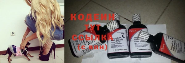 шишки Беломорск