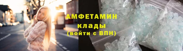 шишки Беломорск