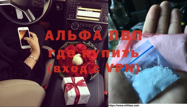 шишки Беломорск