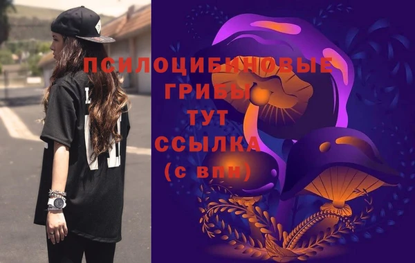 сатива Белокуриха