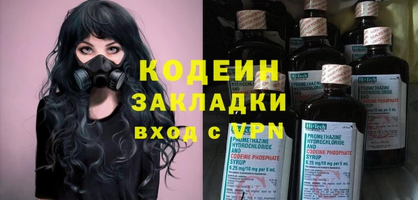 шишки Беломорск