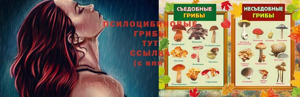 шишки Беломорск
