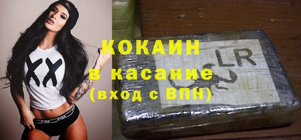 шишки Беломорск