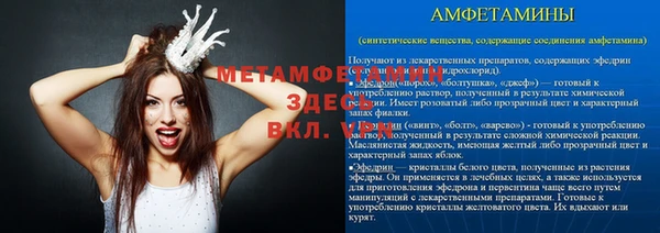 шишки Беломорск