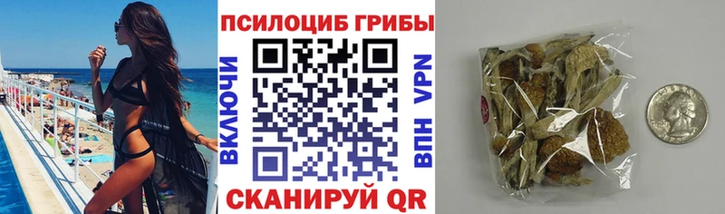 Псилоцибиновые грибы Cubensis  где купить наркоту  Вельск 