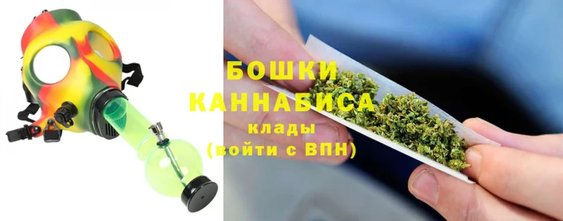 Бошки Шишки планчик  Вельск 